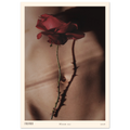 97692803-7ab5-4cde-80f0-a8907b6e89d0