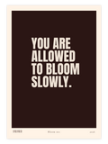 Bloom 001